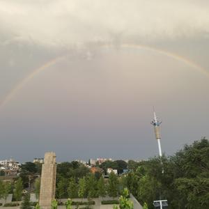 随性自由的海风 头像