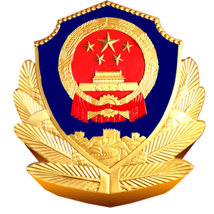 @镇安公安 头像