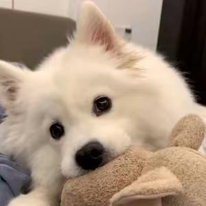 热情的干饭王 头像