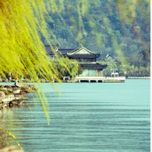 纸上杨柳 头像