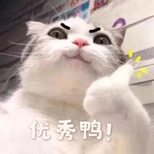 善良的天泽 头像