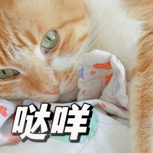 潇洒乐观的溪流 头像