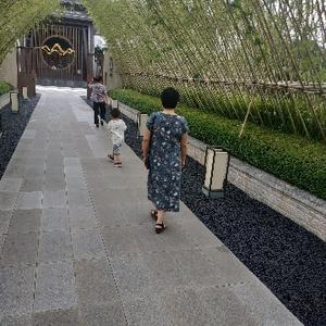 阳阳在旅途