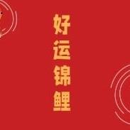 阿东讲文属 头像