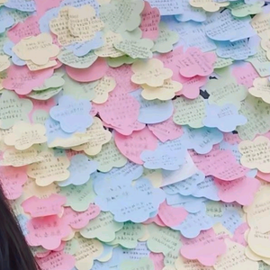 在上进的核桃 头像