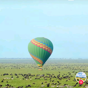 100多斤反骨 头像