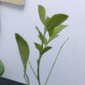 海哥带你玩无锡 头像