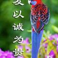 巴彦那的即墨千年头像