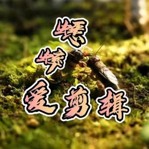 蟋蟀爱剪辑（收学员）头像