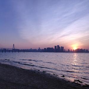 湛江弱电阿龙 头像