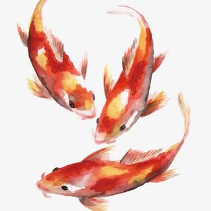 情感故事精选 头像