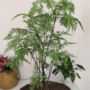 所有相都是虚妄 头像