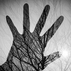 我在大连讲故事 头像