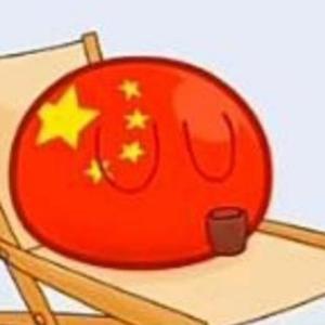 一只中国球头像