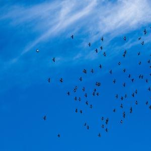 老李耍耍耍 头像