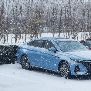 老白白话车 头像