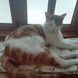 一个人股票长线超短 头像