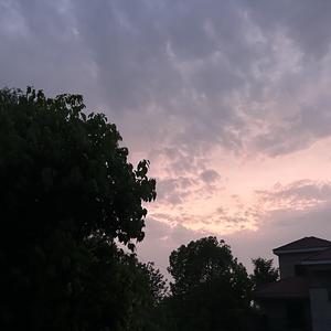 章鱼小姐的书吧 头像