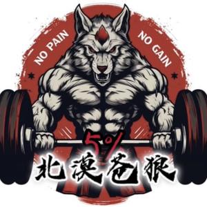 北漠苍狼TV 头像