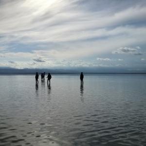 慢慢的品味旅途 头像