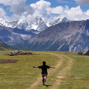 泉森的环游日记 头像