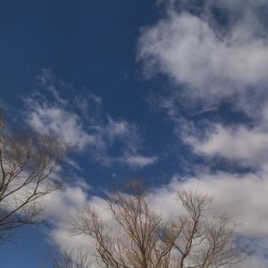 愉悦的轮船zv6 头像