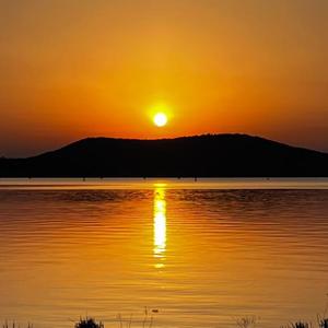 梅正学3M2d 头像