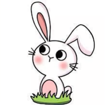 小白兔课堂 头像