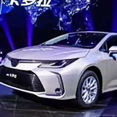 知情达理花猫Ra 头像