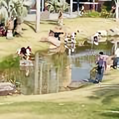 荒野古渡