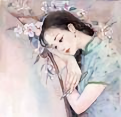 酥酥是苏苏 头像