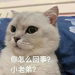 我是路小宇同学 头像