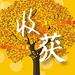 历史是个宝