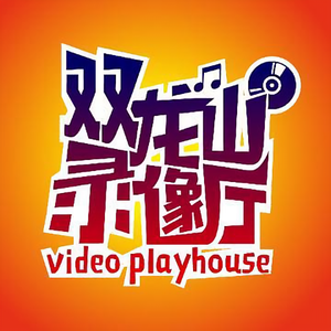 双龙山录像厅 头像