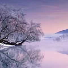 土家菜根