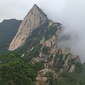陈庚子