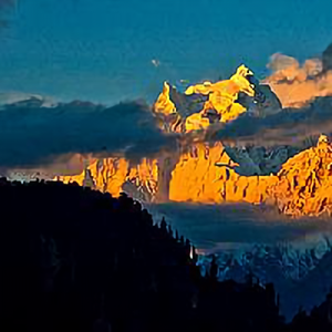 没敷衍过你 头像