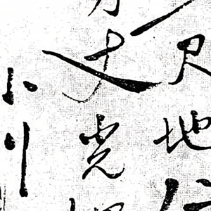 冀中一棵树