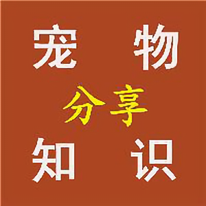 宠物知识分享 头像