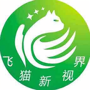 飞猫新视界