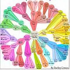 软萌的喵大爷 头像