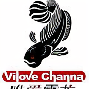 三只小鱼vilove 头像