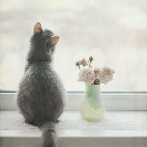 一只到处旅行的猫 头像