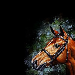 一起长知识 头像