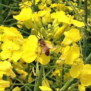 用药小参考 头像