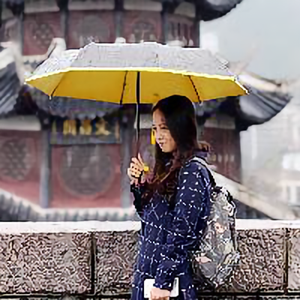 芳婉 头像