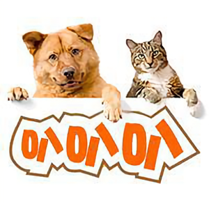 东北妮子叭叭叭 头像