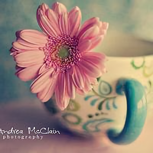 情感狮子座 头像