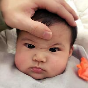 东方女性生活 头像