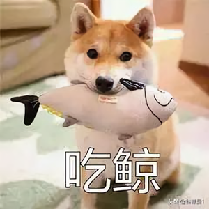 小易世界 头像